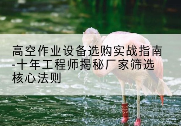 河口剪叉式升降机厂家-高空作业设备选购实战指南-十年工程师揭秘厂家筛选核心法则